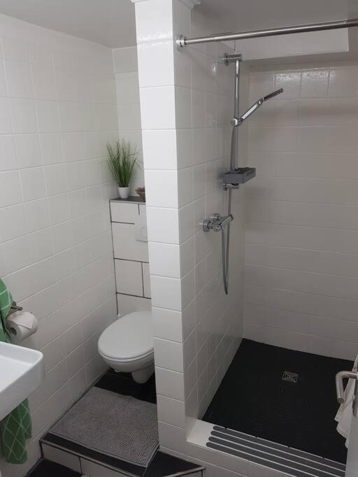 Ferienwohnung Bela, Naehe Nuerburgring Luxem 외부 사진